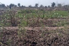 WhatsApp-Image-2025-12-21-at-12.39.051