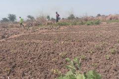 WhatsApp-Image-2025-12-21-at-12.39.071