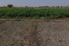 WhatsApp-Image-2025-12-21-at-12.39.11