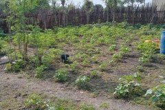 WhatsApp-Image-2025-12-21-at-12.39.12