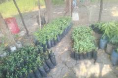 WhatsApp-Image-2025-12-21-at-12.39.13