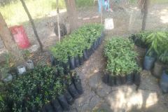 WhatsApp-Image-2025-12-21-at-12.39.14