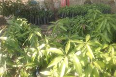 WhatsApp-Image-2025-12-21-at-12.39.141