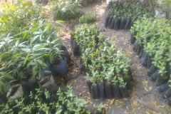 WhatsApp-Image-2025-12-21-at-12.39.151