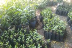 WhatsApp-Image-2025-12-21-at-12.39.16