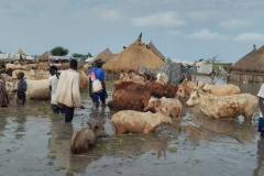 WhatsApp-Image-2025-12-21-at-12.39.23